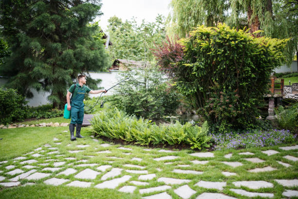 Best Stump Grinding and Removal  in Fredonia, WI