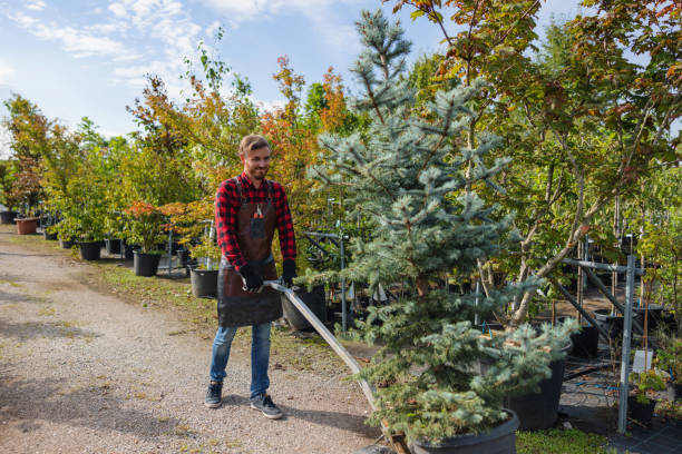Best Lawn Maintenance Plans  in Fredonia, WI